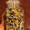 portobello mushroom recipes